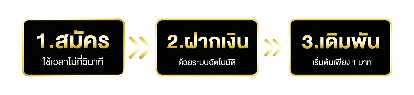 ashavip